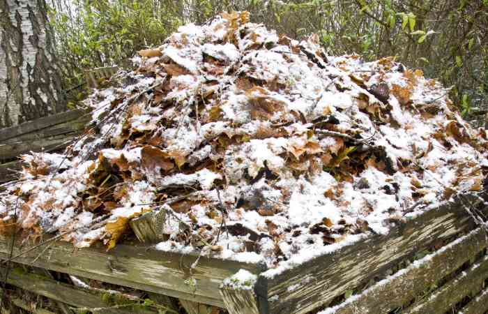 composting in the winter