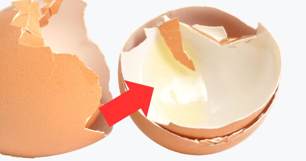 eggshells with eggwhite still inside