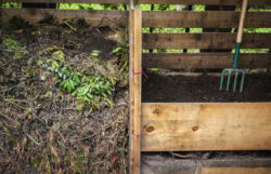 When Is Compost Finished And Ready To Use?