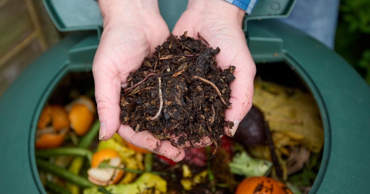 advantages disadvantages of composting
