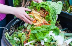 Types Of Composting – Methods For Home Gardens