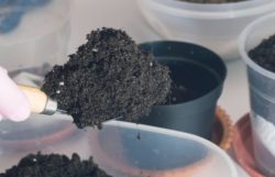 Does Potting Soil Go Bad? How Long Does It Last?