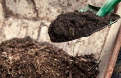 Which Is Better? Topsoil Vs Compost