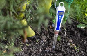 how to acidify soil pH test