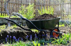 Composting 101 – How To Make Compost At Home