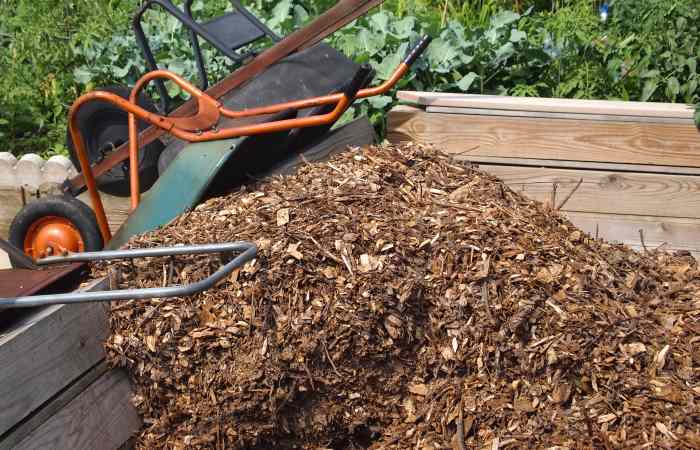 what to do with wood chips