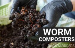 6 Best Worm Composter Bins And Worm Farm Kits