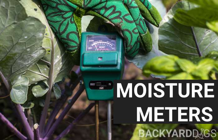 Best Soil Moisture Meters To Buy In 2021 - BackyardDigs