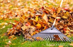 How To Rake Leaves – Best Way To Rake And Bag