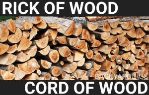 Rick vs Cord Of Wood