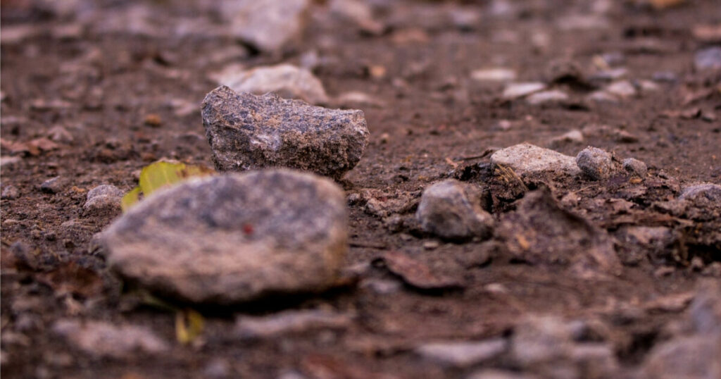 rocks on top of soil