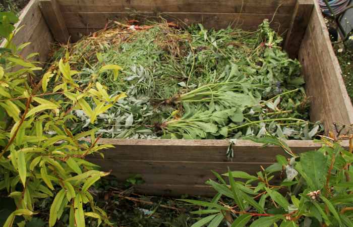 can you compost weeds