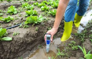 how to test soil ph with ph meter