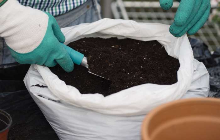 potting soil in bag