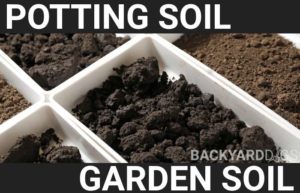 potting soil vs garden soil