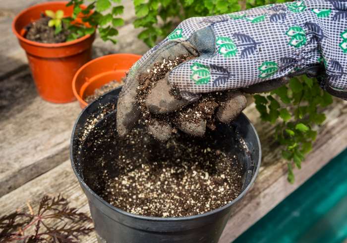 what to do with old potting soil