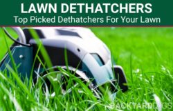 Best Lawn Dethatchers To Buy In 2022