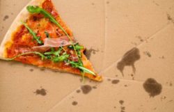 Are Pizza Boxes Compostable? Yes! Here’s How!