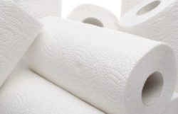 Can You Compost Paper Towels? Yes! Here’s How!