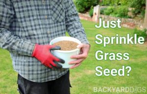 Can You Just Sprinkle Grass Seed On Lawn?