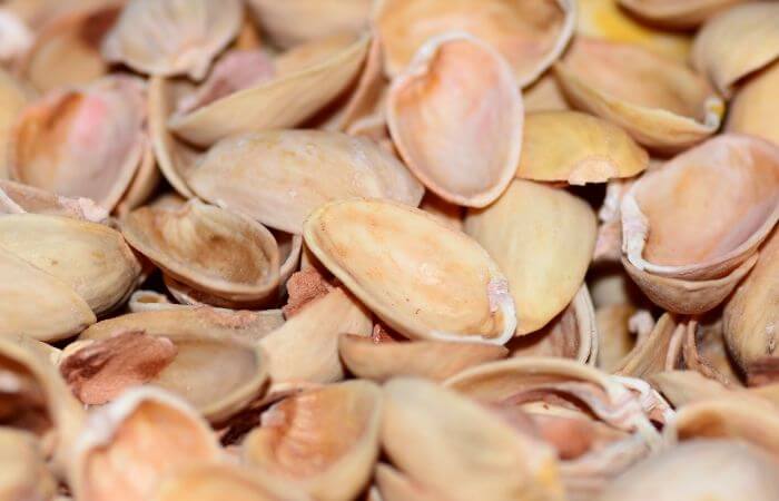 composting pistachio shells