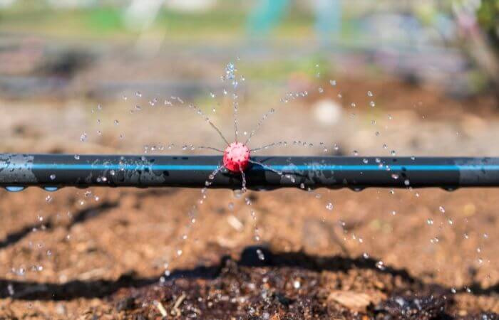drip irrigation tubing watering soil