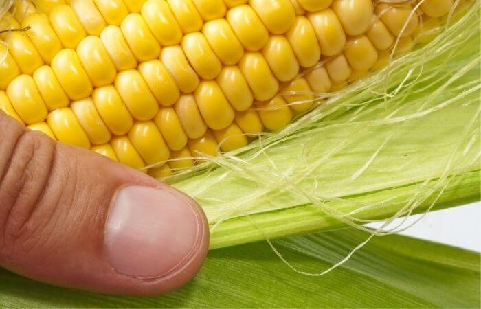 green corn husk