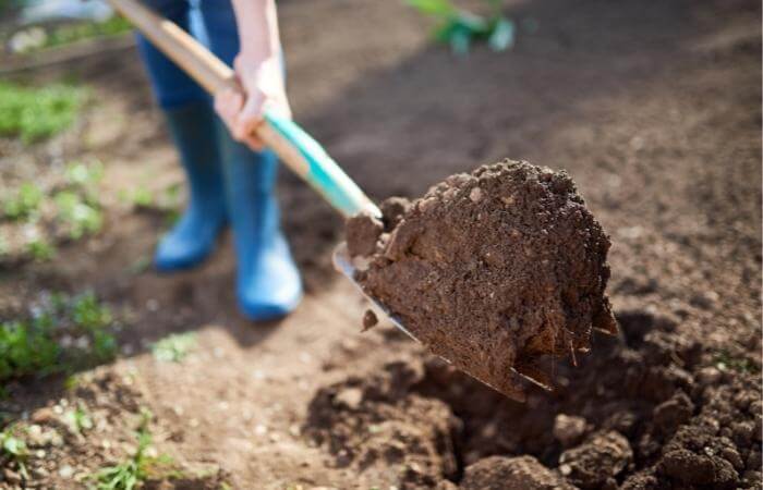 digging soil preparing garden