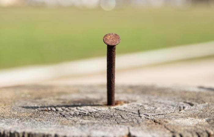 nail in tree stump