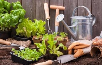 Spring Planting Guide – Planning Your Garden