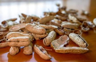 Can You Compost Peanut Shells