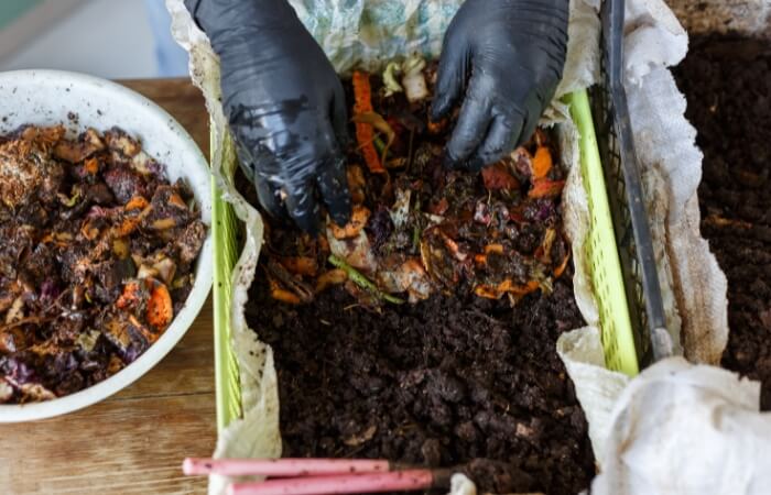 adding food scraps to worm composter