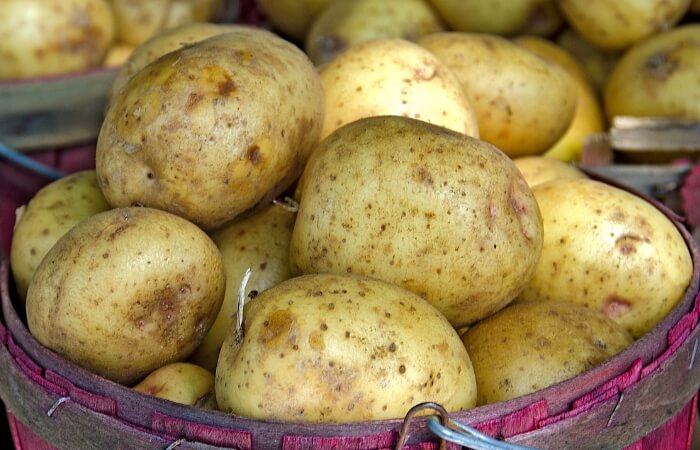 bushel of yukon gold potatoes