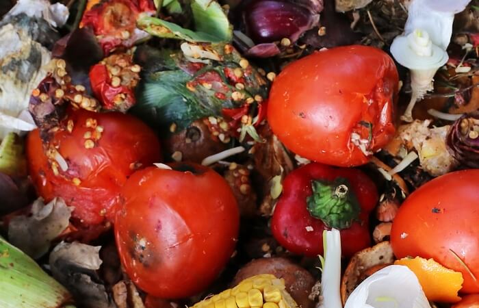 can you compost tomatoes