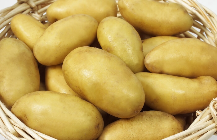 charlotte potatoes (solanum tuberosum)