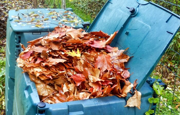 dry brown leaves in compost bin