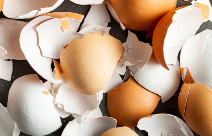 empty egg shells compost ingredient