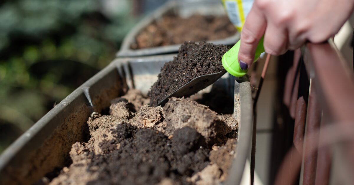 gardener adding compost to soil