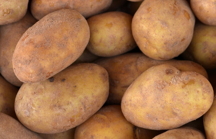 kennebec potatoes closeup