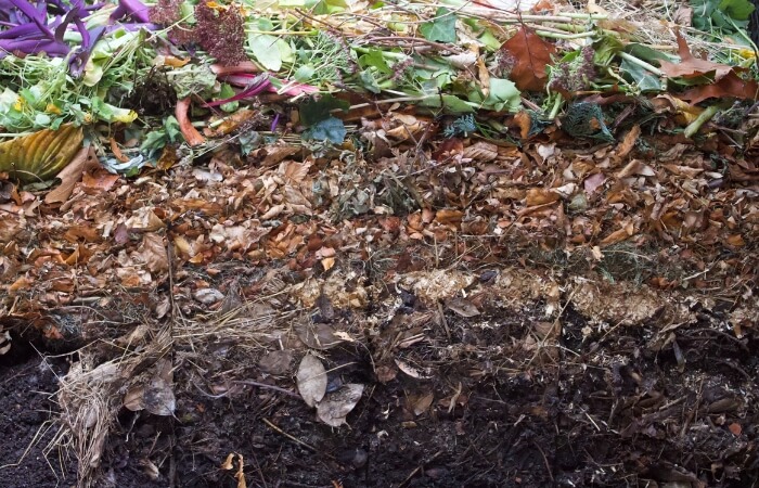 mulch decomposing in compost