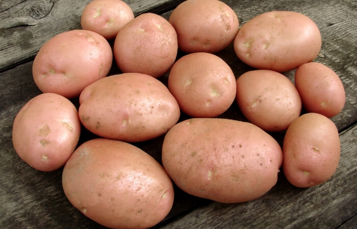 pink setanta potatoes