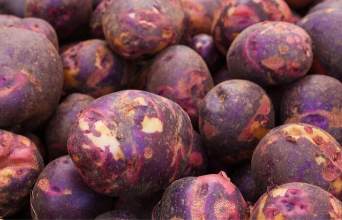 purple viking potatoes