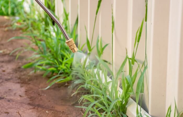 spraying weeds to permanently stop growing