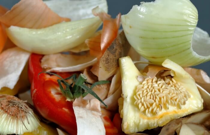 vegetable scraps for compost