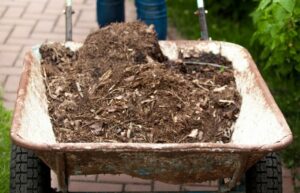 what to do with old mulch