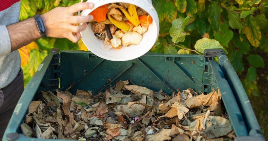 adding food scraps to compost bin