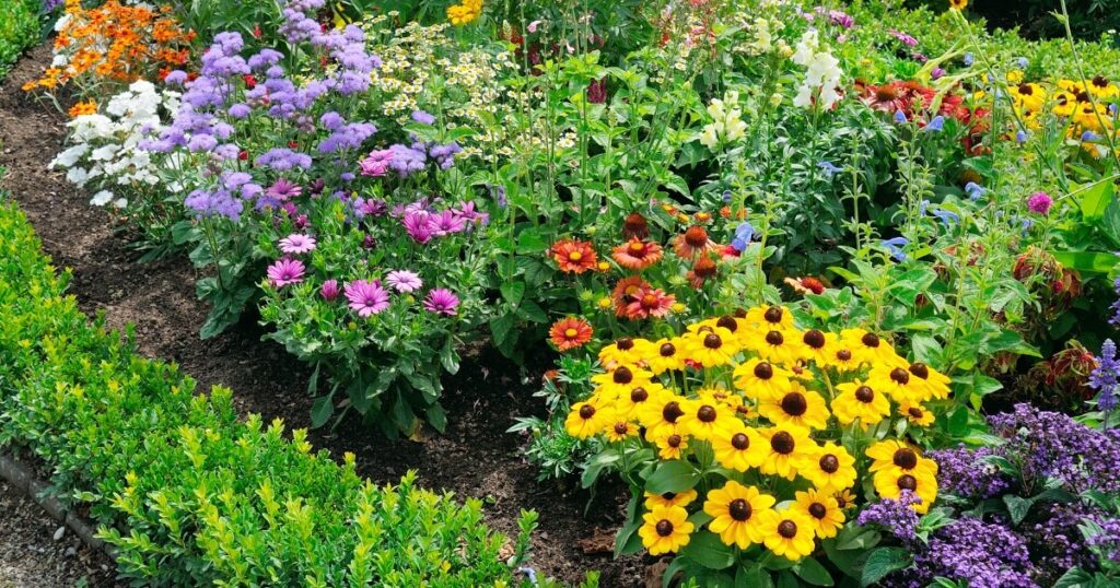 backyard flower garden with beautiful flowers