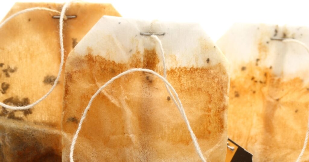 close-up of staples in tea bag