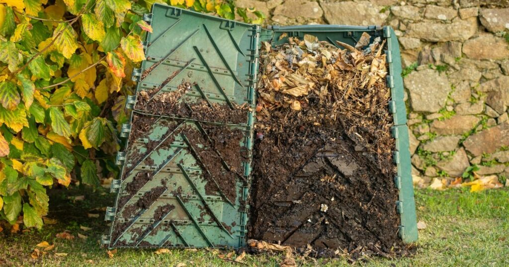 composting 101 basics