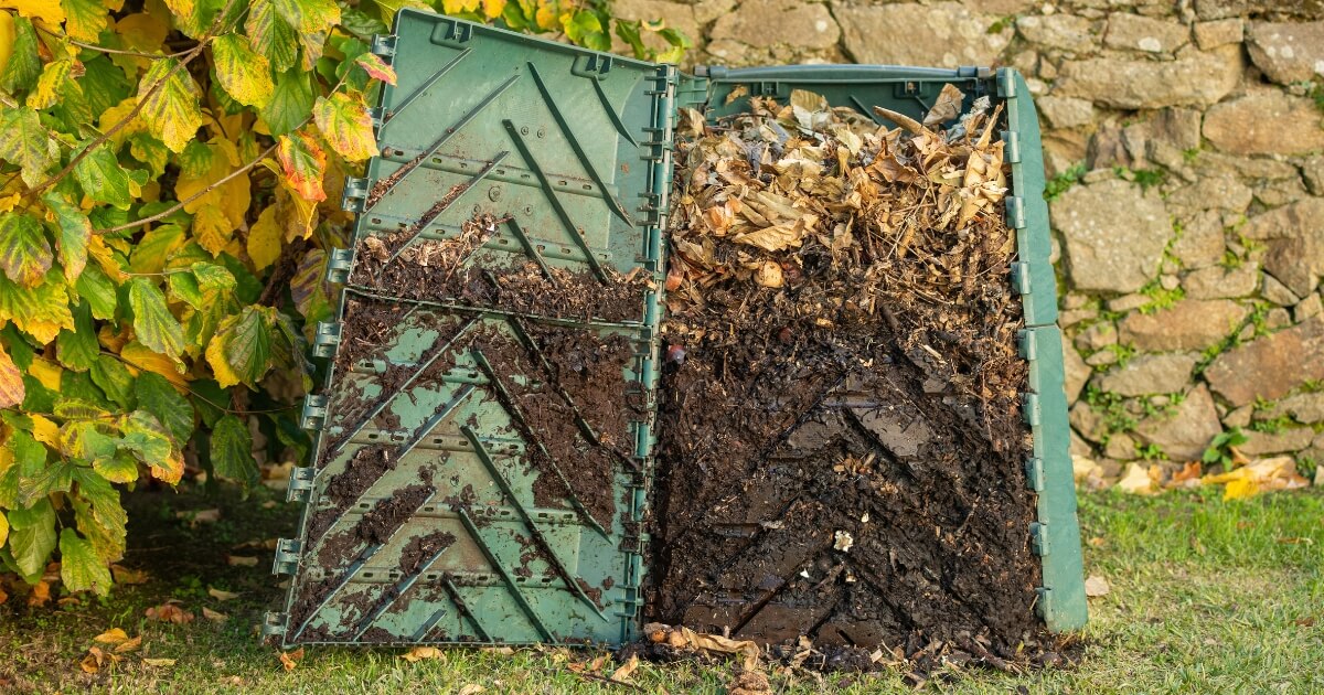 composting 101 basics